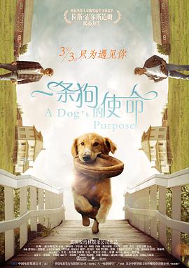 一边揉一边抽搐一进一出