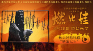 亚洲欧美日韩一区二区在线观看