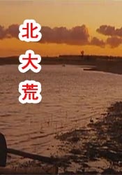久久伊人最新
